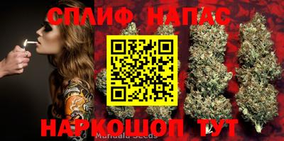 гидропоника Шахты