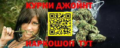 гидропоника Шахты