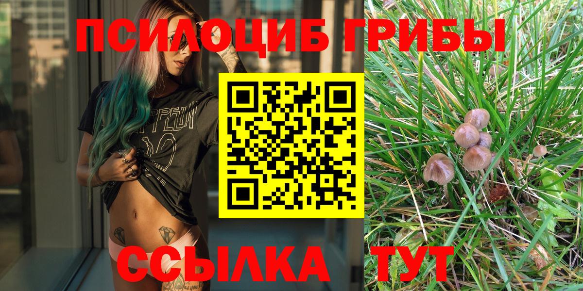 Альметьевск  Галлюциногенные грибы Magic Shrooms  Вход с VPN 